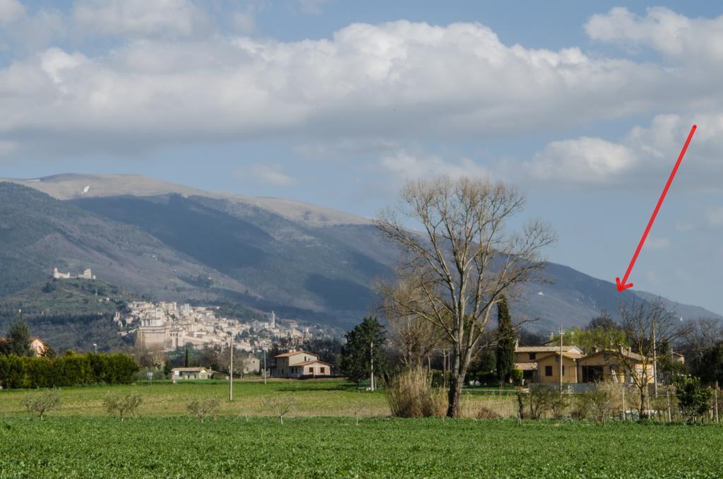 Le Case Dell'Olmo Assisi Exterior photo